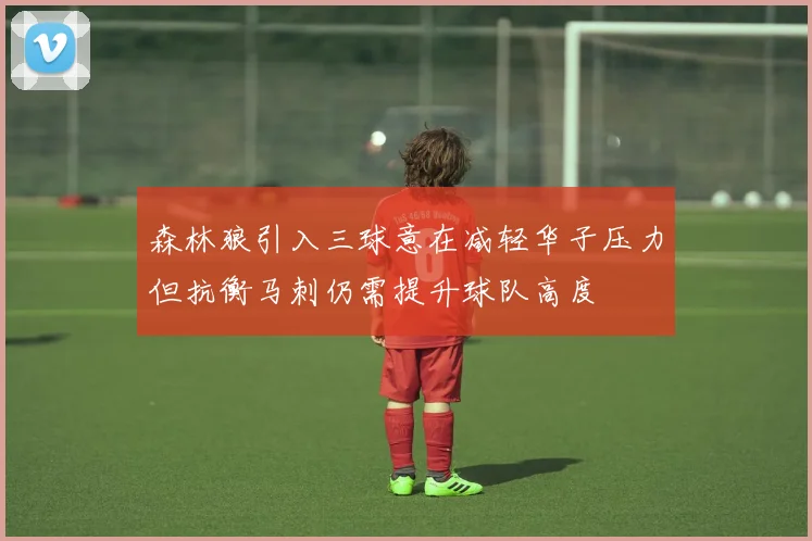 森林狼引入三球意在减轻华子压力但抗衡马刺仍需提升球队高度
